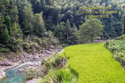 温州瑞安黄林村