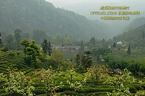 成都邛崃花楸村