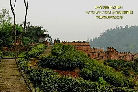 成都邛崃市花楸村