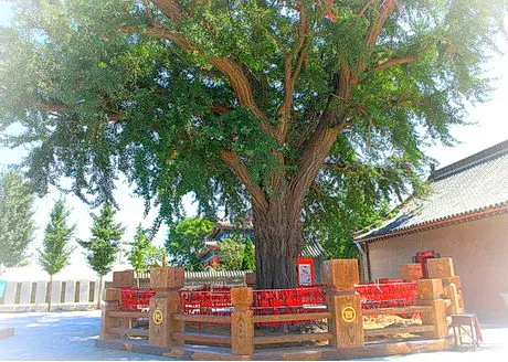 大连永兴寺