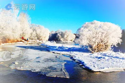 黑河逊克大平台雾凇景区