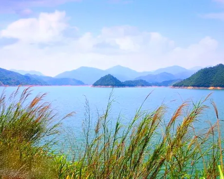 赤壁陆水湖风景区