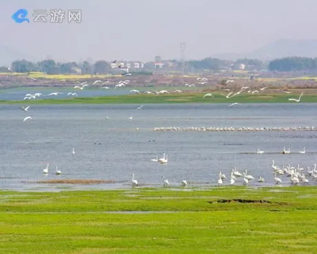 蕲春赤龙湖湿地公园