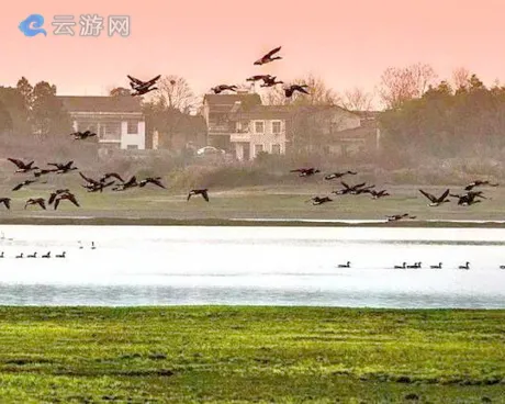 蕲春赤龙湖湿地公园