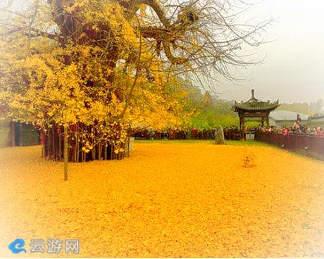 西安终南山古观音禅寺