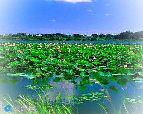 重庆云篆山荷花基地