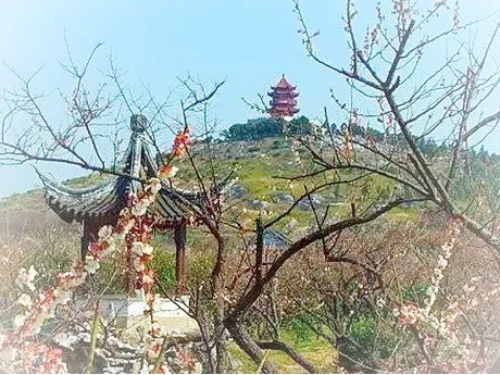 苏州洞庭山景区