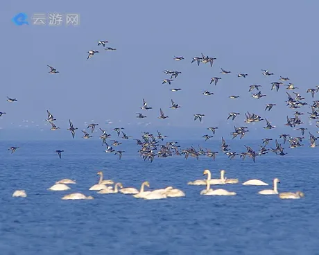 南京溧水石臼湖