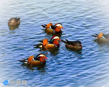 婺源鸳鸯湖风景区