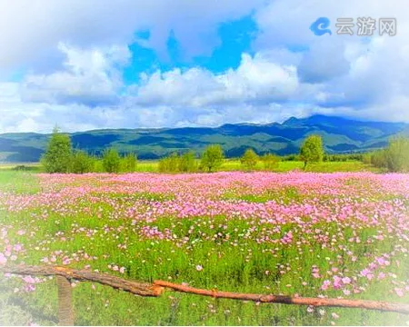 丽江拉市海湿地公园