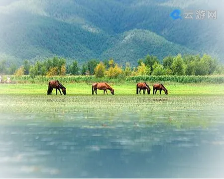 丽江拉市海湿地公园