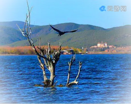 丽江候鸟木语度假区