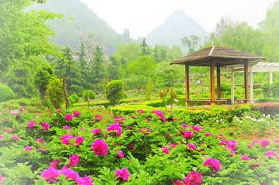 栾川鸡冠洞风景区