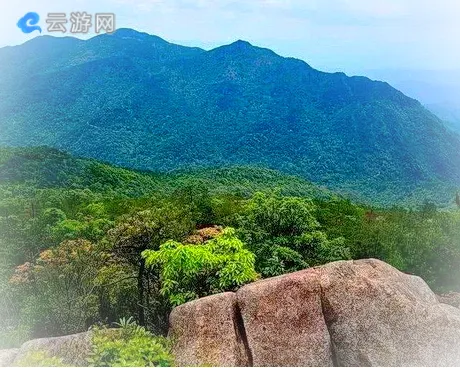 龙岩永定天子岽