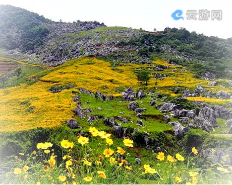 乐平怪石林风景区