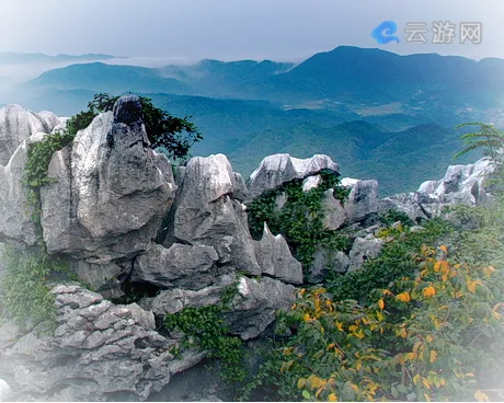 乐平怪石林风景区