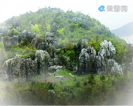 乐平怪石林风景区