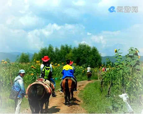 丽江拉市海茶马古道