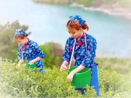 苏州洞庭山景区