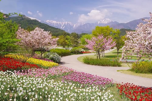 秦岭环山路上免费景点（秦岭环山路上免费景点大全）